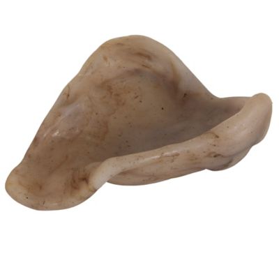 Image showing  Bacon Pig Ear Nylon Chew Dog Training Toy