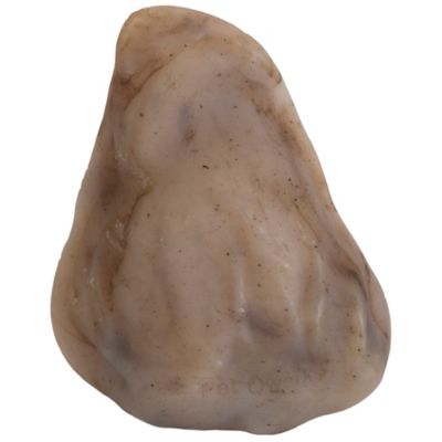 Image showing  Bacon Pig Ear Nylon Chew Dog Training Toy