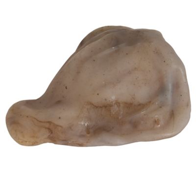 Image showing  Bacon Pig Ear Nylon Chew Dog Training Toy