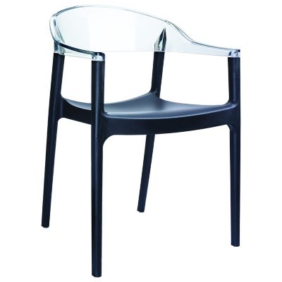 Siesta 2 pc. Carmen Modern Outdoor Dining Chair Set -  ISP059-BLA-TCL