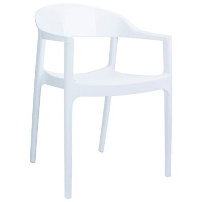Siesta 2 pc. Carmen Modern Outdoor Dining Chair Set