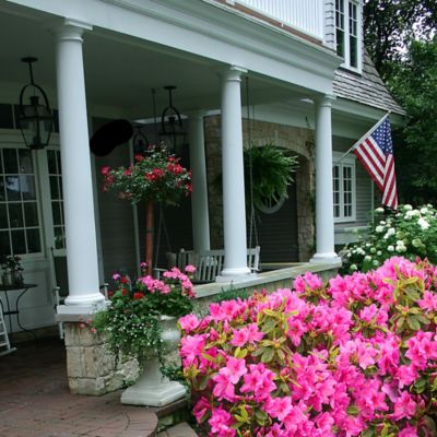 Image showing 2.25 gal. Azalea Pink Ruffle Shrub
