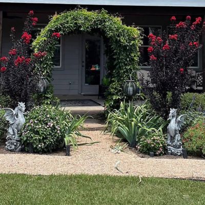 Image showing  2.25 gal. Potted Best Red Crape Myrtle Shrub