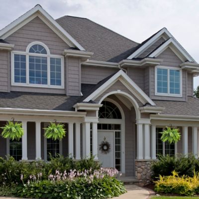 Image showing 10 in. Boston Fern Hanging Basket
