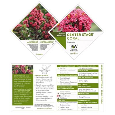 Image showing  2 gal. Potted Coral Center Stage Crape Myrtle Shrub Bush