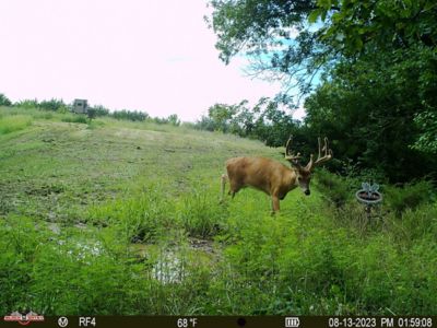 Image showing  NY Lick Magic Deer Attractant, 23 lb.