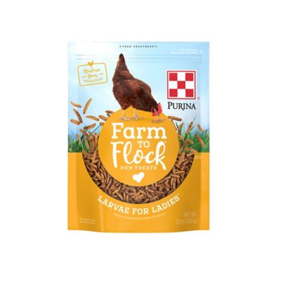 Purina Farm to Flock Larvae for Ladies Hen Treats, 12 oz.