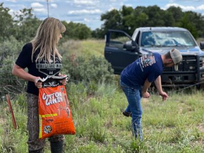 Image showing  Cotton Candy Deer Feed, 25 lb. Bag