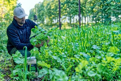 Image showing  Green Machine Deer Food Plot Mix, 5.25 lb.