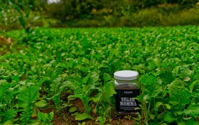 Image showing  Sugar Momma Deer Food Plot Mix, 3.25 lb.