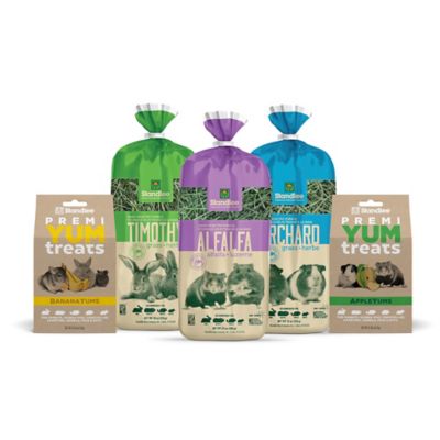 Image showing  BananaYums PremiYum Small Pet Treats, 8 oz.