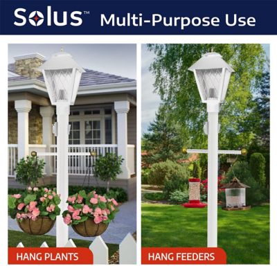 Image showing  8 ft. White Outdoor Lamp Post with Cross Arm and Grounded Convenience Outlet