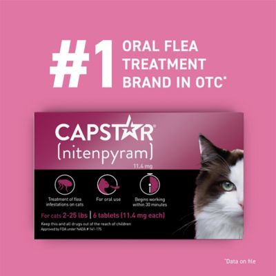 Image showing  Oral Flea Treatment Tablets for Cats, 6 ct.