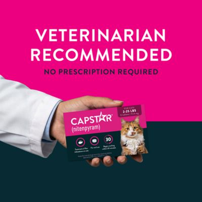 Image showing 5 th Capstar Oral Flea Treatment Tablets for Cats, 6 ct.