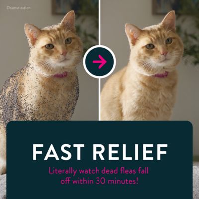 Image showing 6 th Capstar Oral Flea Treatment Tablets for Cats, 6 ct.