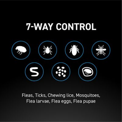 Image showing  Flea and Tick Topical Treatment for Small Dogs, 3-Month Supply, 3 ct.