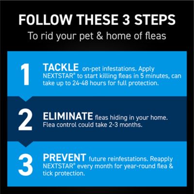 Image showing 6 th NextStar Flea and Tick Topical Treatment for Small Dogs, 3-Month Supply, 3 ct.