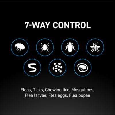 Image showing 8 th NextStar Flea and Tick Topical Treatment for Small Dogs, 3-Month Supply, 3 ct.