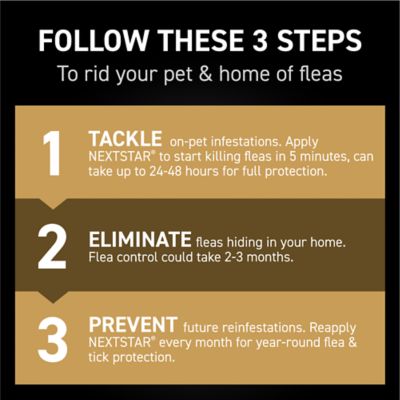 Image showing  Fast-Acting Flea and Tick Treatment for Medium Dog 23-44 lb., 3 ct.