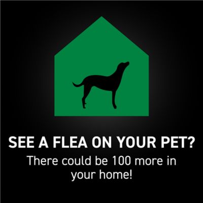 Image showing  Flea and Tick Topical Treatment for Large Dogs, 3 ct.