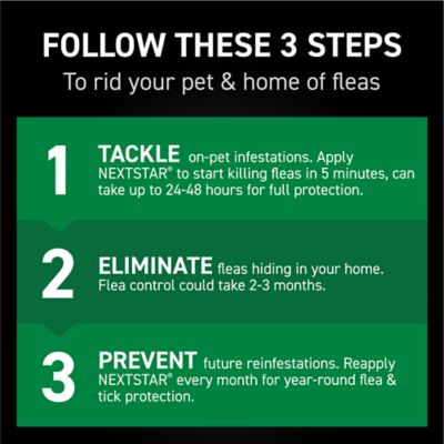 Image showing  Flea and Tick Topical Treatment for Large Dogs, 3 ct.