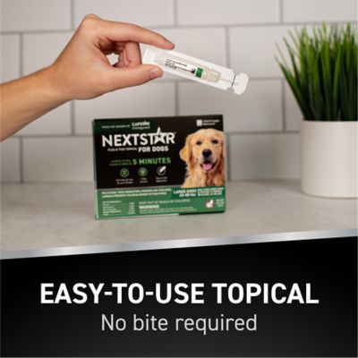 Image showing 5 th NextStar Flea and Tick Topical Treatment for Large Dogs, 3 ct.
