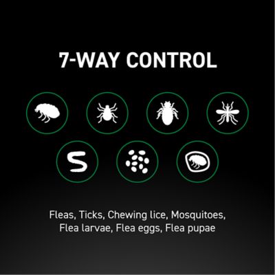 Image showing 7 th NextStar Flea and Tick Topical Treatment for Large Dogs, 3 ct.