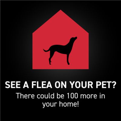 Image showing  Flea and Tick Topical Treatment for X-Large Dogs, 3 Month Supply, 3 ct.