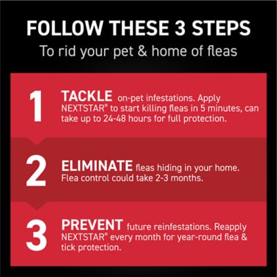 Image showing 5 th NextStar Flea and Tick Topical Treatment for X-Large Dogs, 3 Month Supply, 3 ct.