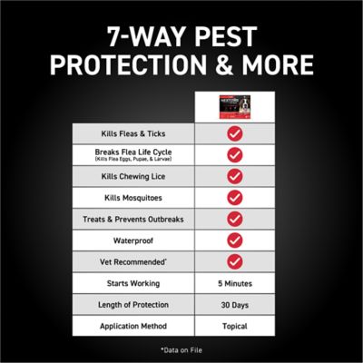 Image showing 6 th NextStar Flea and Tick Topical Treatment for X-Large Dogs, 3 Month Supply, 3 ct.