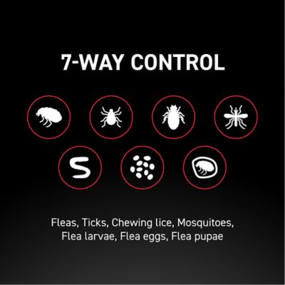 Image showing 8 th NextStar Flea and Tick Topical Treatment for X-Large Dogs, 3 Month Supply, 3 ct.