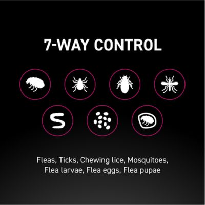 Image showing 6 th NextStar Flea and Tick Topical Treatment for Cats, 3-Month Supply, 3 ct.