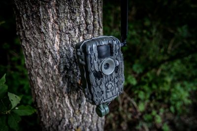 Image showing  36 MP Fusion X Pro Cellular Trail Camera