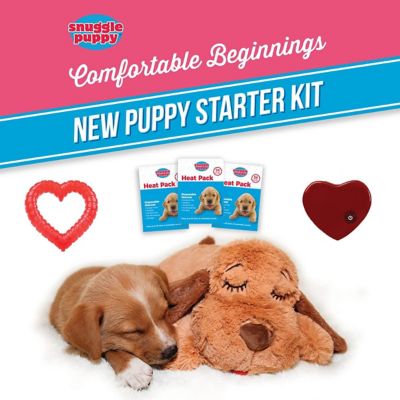Image showing  Plush Dog Toy Starter Kit, Girl
