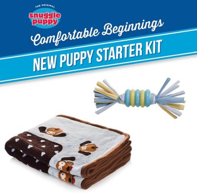 Image showing  Dog Training Toy Starter Kit, Boy