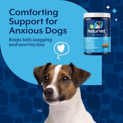 Image showing  Emotional Support Soft Chewable Calming Supplement Treats for Dogs, 120 ct.