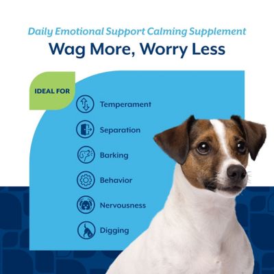 Image showing  Emotional Support Soft Chewable Calming Supplement Treats for Dogs, 120 ct.