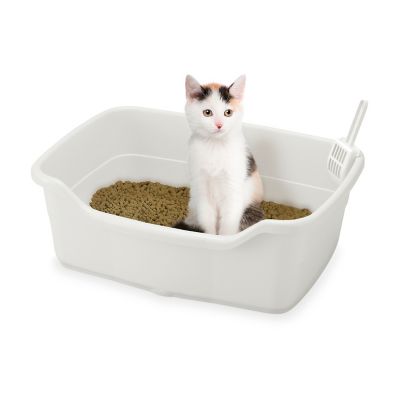 Image showing  Paw Trax Wide Cat Litter Pan, White