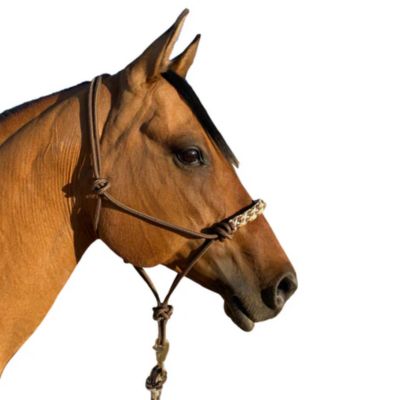 Image showing  Clinician Rope Halter