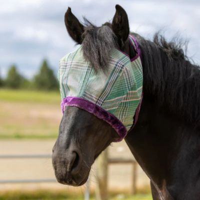 Image showing  Draft Horse Fly Mask with Fleece Trim