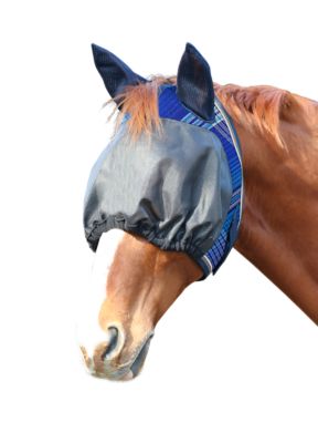 Product color Kentucky Blue