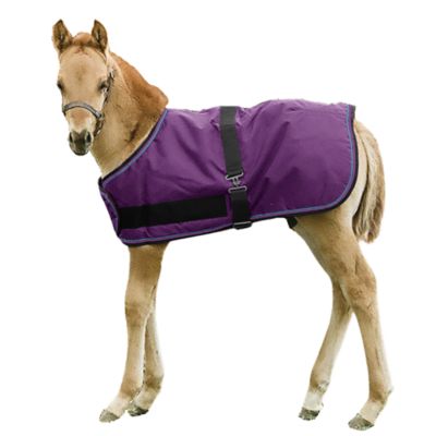 Kensington Signature Adjustable Foal Turnout