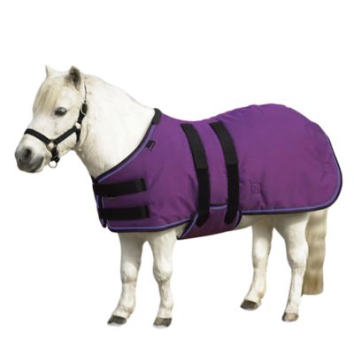 Kensington Signature 80g/1200D Polyester Lightweight Mini Horse Turnout Blanket