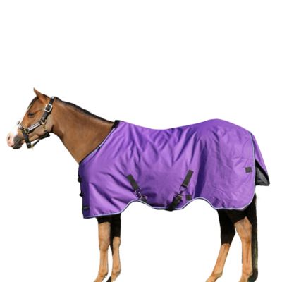 Kensington Signature Pony Light Weight Turnout