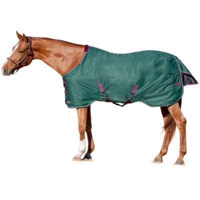 Kensington Signature 80g/1200D Lightweight Waterproof Winter Horse Turnout Sheet