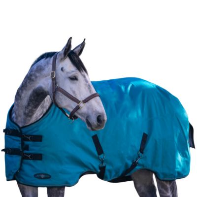 Image showing  Signature 80g/1200D Lightweight Waterproof Winter Horse Turnout Sheet