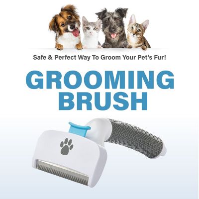 Image showing  Pet Grooming Brush with Stainless Steel Teeth