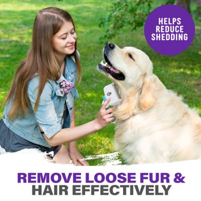Image showing  Pet Grooming Brush with Stainless Steel Teeth