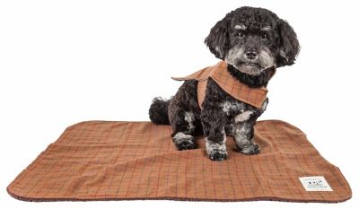 Image showing  2-in-1 Windowpane Plaided Dog Jacket with Matching Reversible Dog Mat