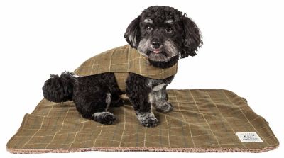 Image showing  2-in-1 Windowpane Plaided Dog Jacket with Matching Reversible Dog Mat